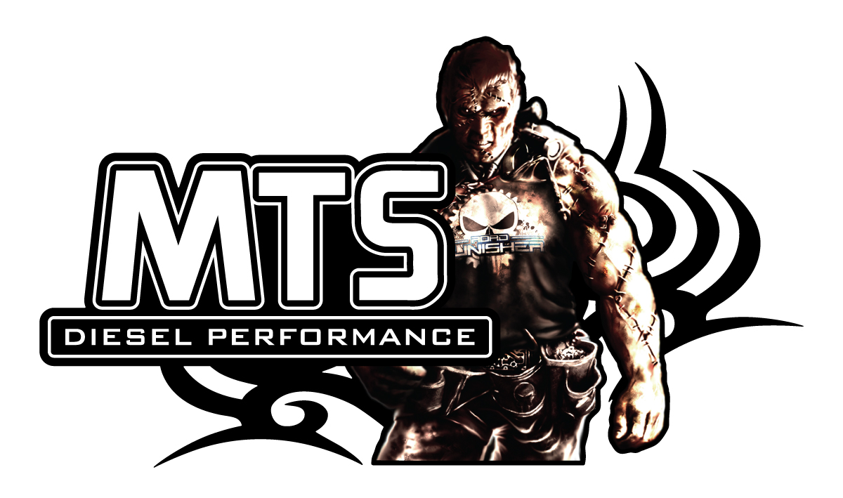 Road Punisher Small Window Sticker